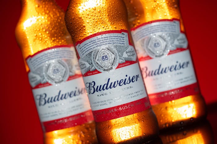 Review bia Budweiser