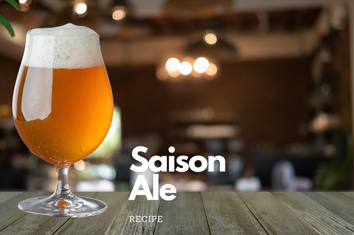 Bia Saison Ale: Khám phá dòng bia Bỉ đặc sắc 2 Saison Ale với màu vàng hổ phách và bọt bia